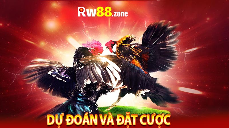 Dự đoán và đặt cược 