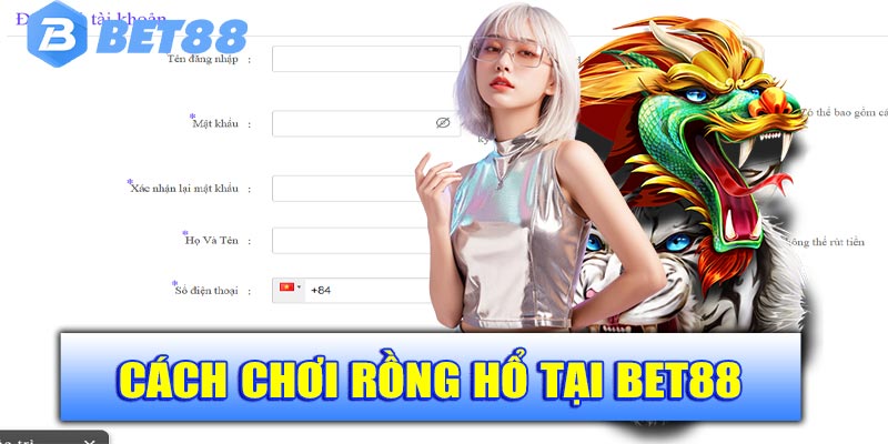 Cách chơi Rồng Hổ tại Bet88