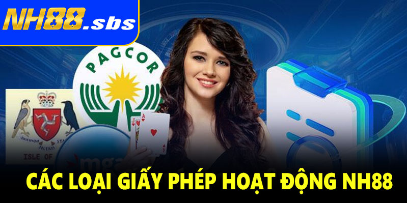 Các loại giấy phép hoạt động NH88 đang sở hữu